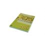 Papier ksero A4/100/80g Kreska seledynowy - 3